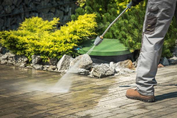Best Driveway Pressure Washing  in Devine, TX